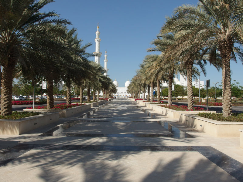 Sheikh Zayed Grand Mosque, Abu Dhabi