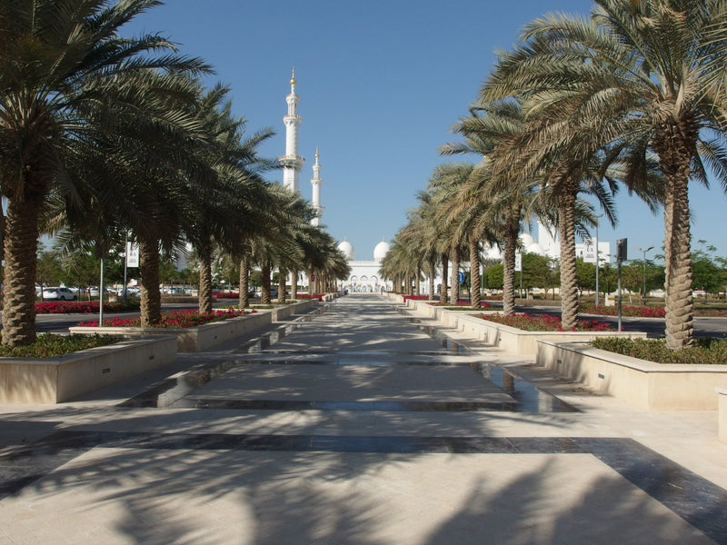 Dubai & Abu Dhabi Family Discovery: 6-Day Private Tour - Look Vacations