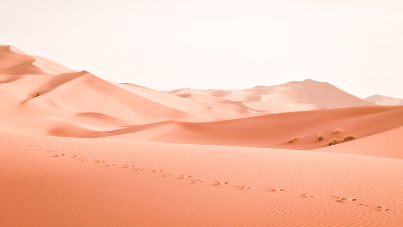 Sand dunes of the Moroccan Sahara at Erg Chebbi