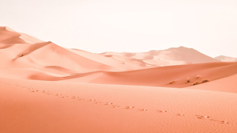 Imperial Morocco & the Sahara: 10-Day Grand Circuit - Look Vacations